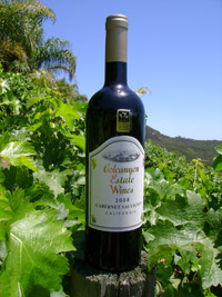 2008-Cabernet-Sauvignon