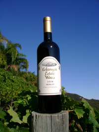 2008-Merlot